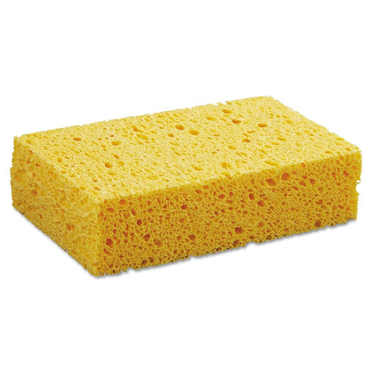 Boardwalk Cellulose Sponge