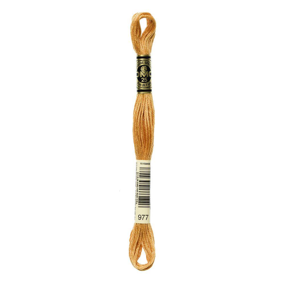 DMC Embroidery Floss Browns